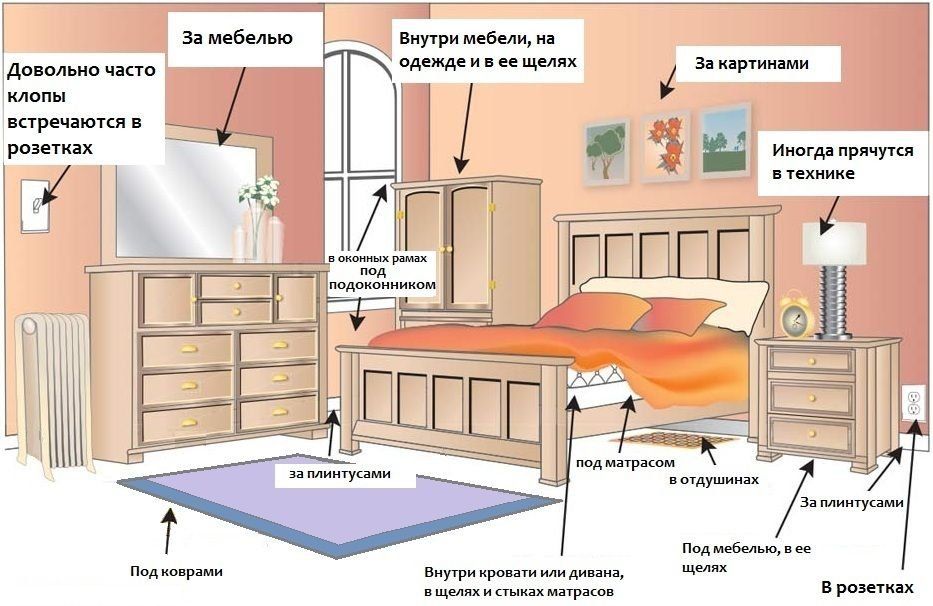 Обработка от клопов квартиры в Екатеринбурге